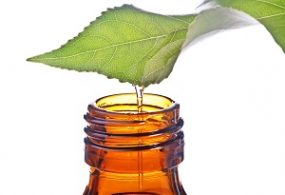 bottle with homeopathy balm and leaf